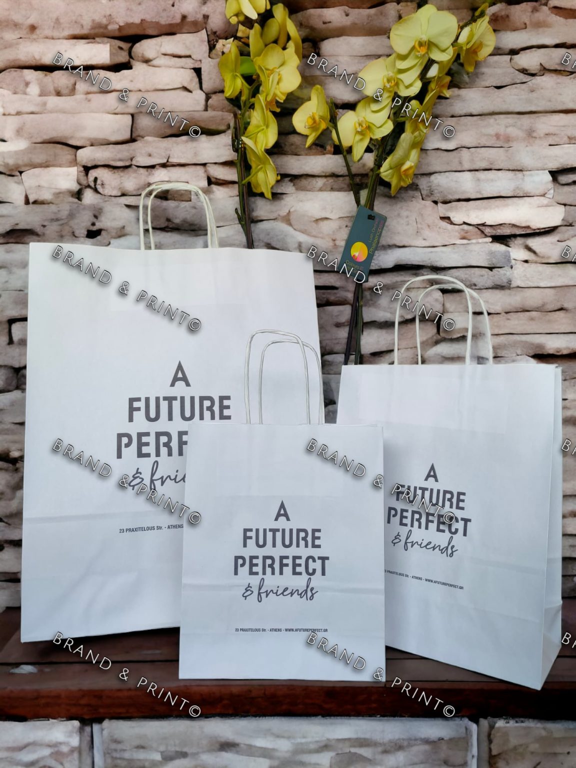 Brand and Print FUTURE PERFECT paper bag